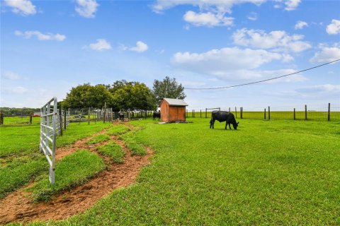 Terreno en venta en Dade City, Florida № 1273621 - foto 3