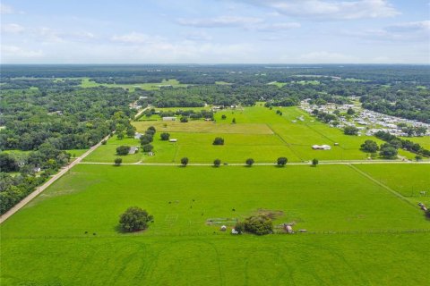 Land in Dade City, Florida № 1273621 - photo 11