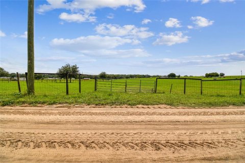 Terreno en venta en Dade City, Florida № 1273621 - foto 24