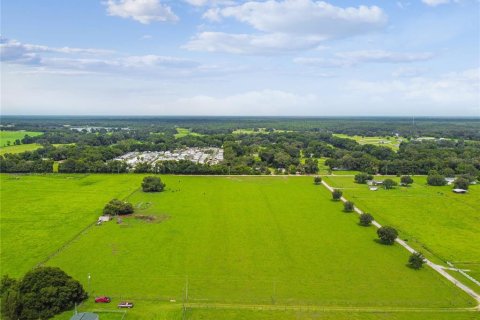 Terreno en venta en Dade City, Florida № 1273621 - foto 9