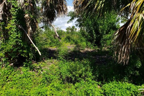 Terreno en venta en Port Charlotte, Florida № 216110 - foto 2