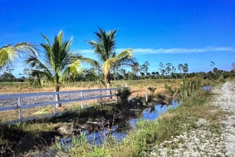 Terrain à vendre à Clewiston, Floride № 909356 - photo 6