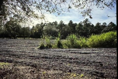 Land in Clewiston, Florida № 909356 - photo 20