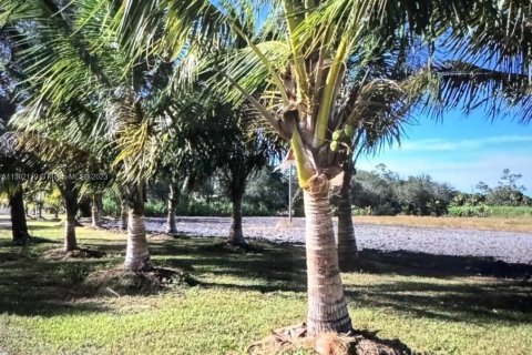 Terrain à vendre à Clewiston, Floride № 909356 - photo 3