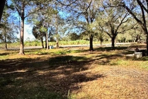 Terrain à vendre à Clewiston, Floride № 909356 - photo 21