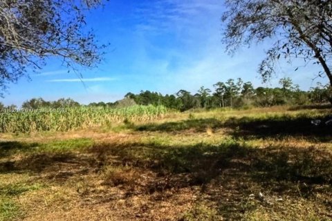 Купить земельный участок в Клуистон, Флорида № 909356 - фото 25