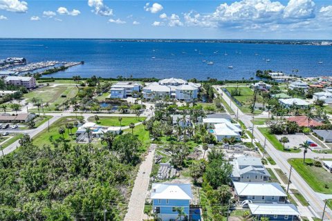 Villa ou maison à vendre à Punta Gorda, Floride: 3 chambres, 215.16 m2 № 485652 - photo 9