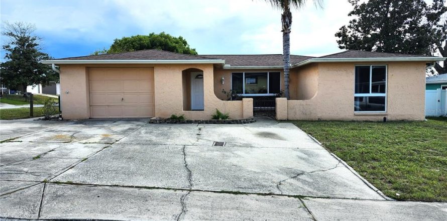 House in Port Richey, Florida 3 bedrooms, 150.69 sq.m. № 1374166