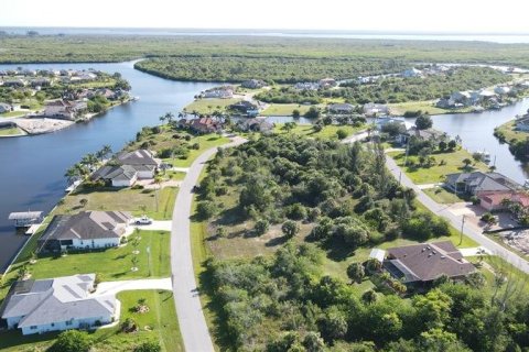 Купить земельный участок в Порт-Шарлотт, Флорида № 218688 - фото 9