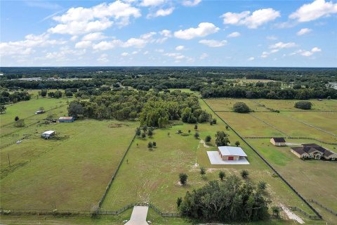 Land in Summerfield, Florida № 1343324 - photo 16