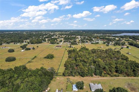 Land in Summerfield, Florida № 1343324 - photo 20