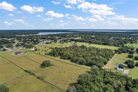 Land in Summerfield, Florida № 1343324 - photo 19