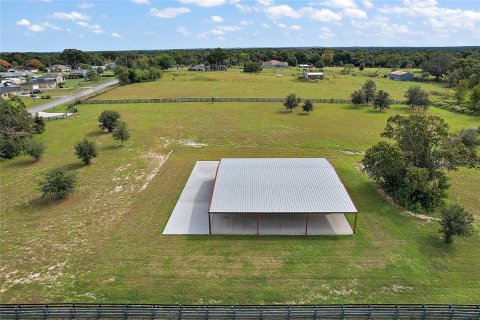 Land in Summerfield, Florida № 1343324 - photo 14