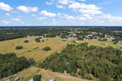 Land in Summerfield, Florida № 1343324 - photo 21