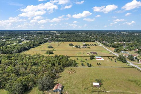 Land in Summerfield, Florida № 1343324 - photo 22