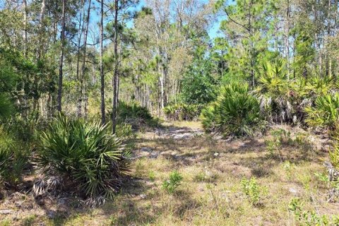 Terrain à vendre à Punta Gorda, Floride № 1210826 - photo 13