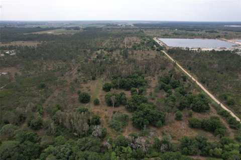 Terrain à vendre à Punta Gorda, Floride № 1210826 - photo 6