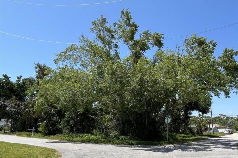 Terrain à vendre à Englewood, Floride № 1210824 - photo 2