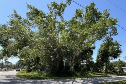 Terreno en venta en Englewood, Florida № 1210824 - foto 4