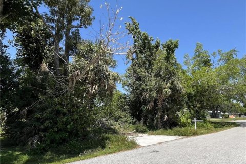 Terreno en venta en Englewood, Florida № 1210824 - foto 3