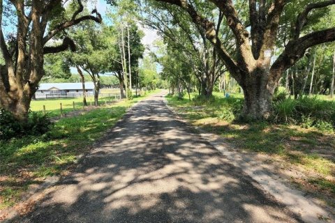 Terreno en venta en Lutz, Florida № 216510 - foto 3