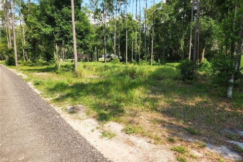 Terreno en venta en Lutz, Florida № 216510 - foto 5