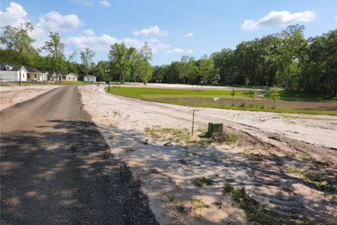 Terreno en venta en Lutz, Florida № 216510 - foto 6