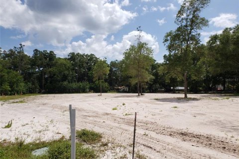 Land in Lutz, Florida № 216510 - photo 13
