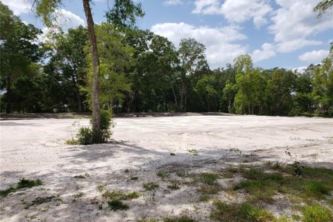 Terreno en venta en Lutz, Florida № 216510 - foto 10