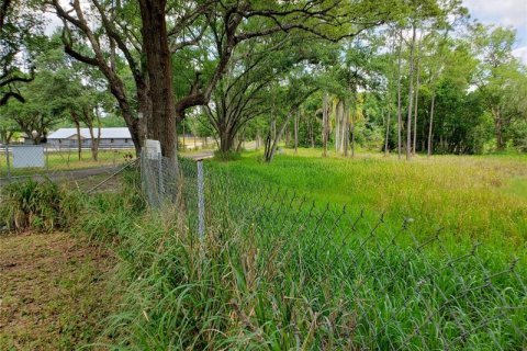 Land in Lutz, Florida № 216510 - photo 2