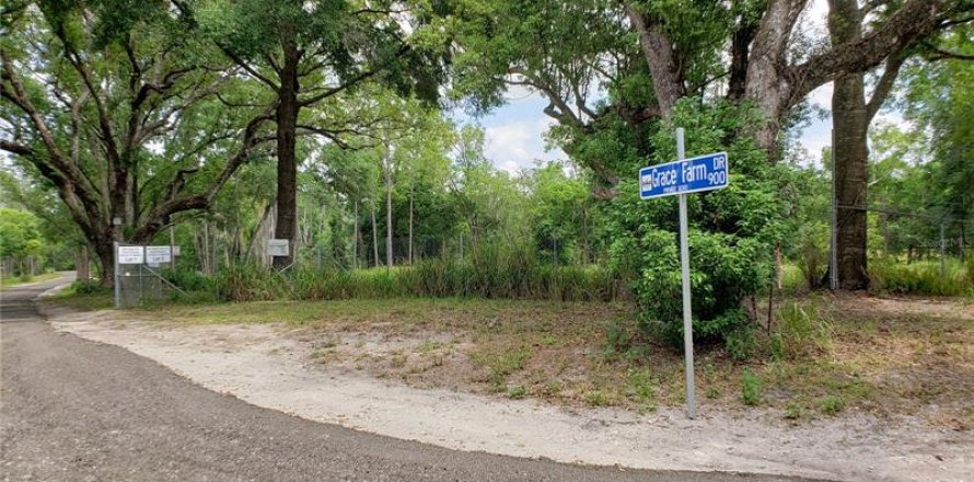 Terreno en Lutz, Florida № 216510