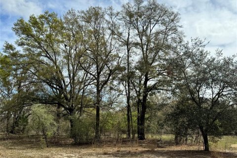 Terrain à vendre à Bell, Floride № 1359575 - photo 6