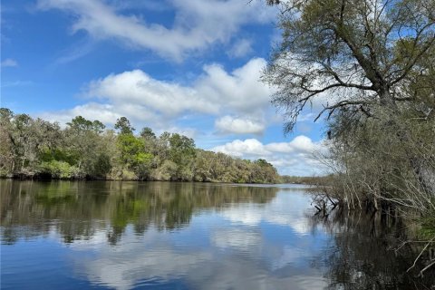 Land in Bell, Florida № 1359575 - photo 10