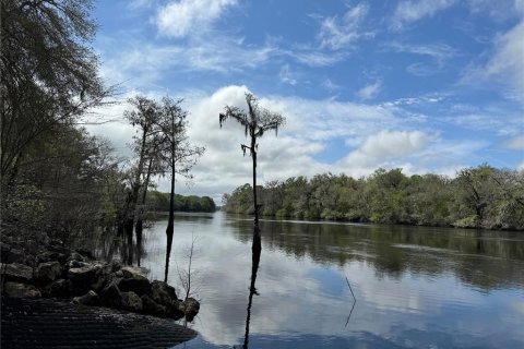 Terreno en venta en Bell, Florida № 1359575 - foto 9