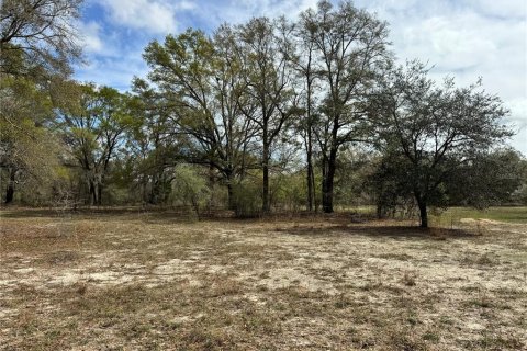 Terrain à vendre à Bell, Floride № 1359575 - photo 5