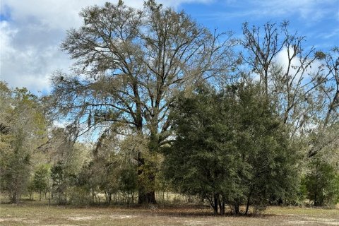 Terreno en venta en Bell, Florida № 1359575 - foto 1