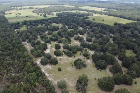 Terreno en venta en Bell, Florida № 1359575 - foto 7