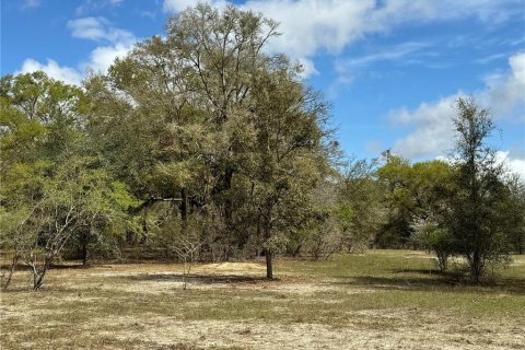 Terreno en venta en Bell, Florida № 1359575 - foto 3