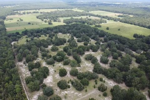 Terreno en venta en Bell, Florida № 1359575 - foto 8