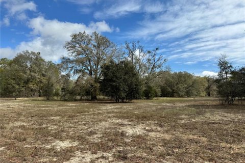 Terrain à vendre à Bell, Floride № 1359575 - photo 2