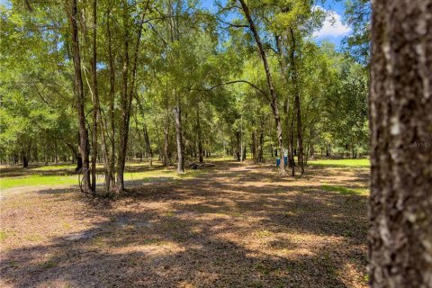 Terreno en venta en High Springs, Florida № 1325116 - foto 1