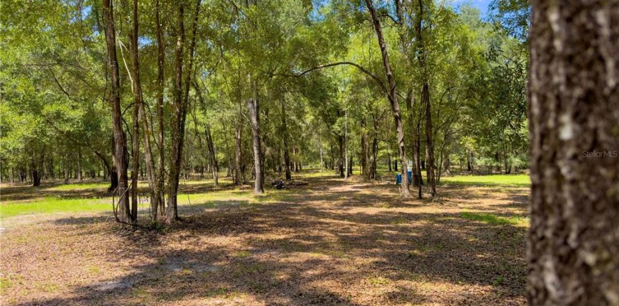 Terreno en High Springs, Florida № 1325116