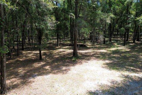 Terreno en venta en High Springs, Florida № 1325116 - foto 4