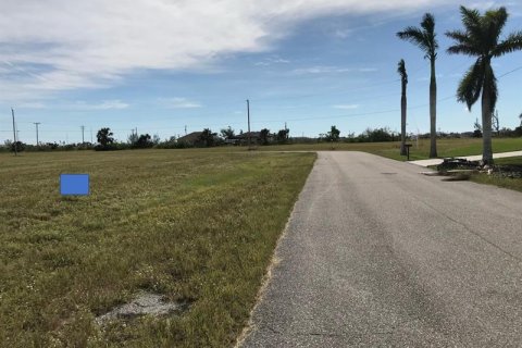 Land in Cape Coral, Florida № 223642 - photo 11