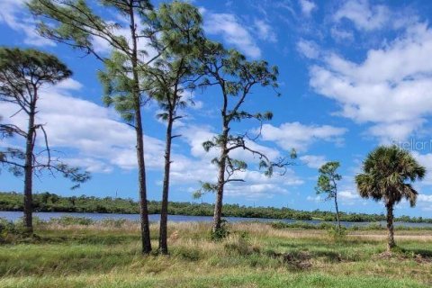 Купить земельный участок в Пласида, Флорида № 1126759 - фото 6