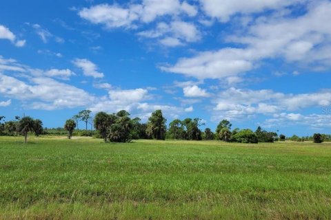 Купить земельный участок в Пласида, Флорида № 1126759 - фото 11