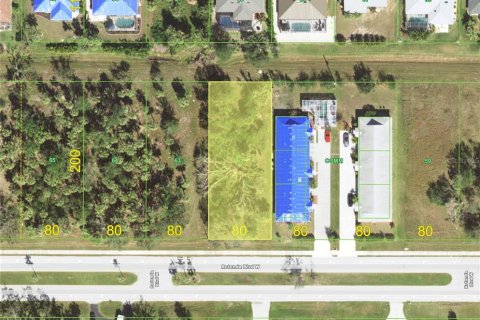 Land in Rotonda, Florida № 828151 - photo 1