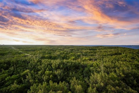 Купить кондоминиум в Сент-Питерсберг, Флорида 6 комнат, 164.44м2, № 1337696 - фото 23