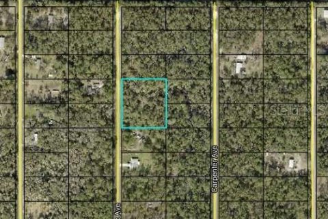 Land in Hastings, Florida № 1341205 - photo 2