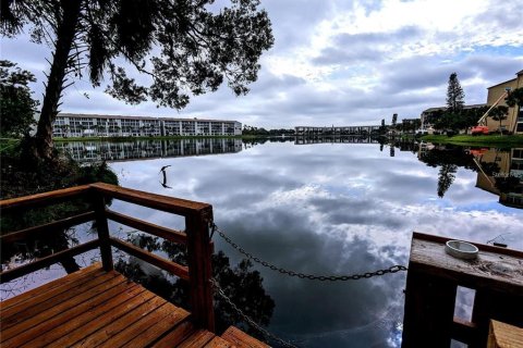 Condo in Bradenton, Florida, 1 bedroom  № 1280264 - photo 13